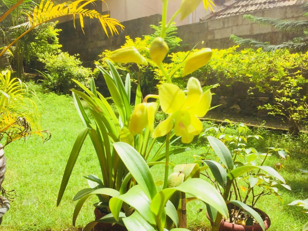 קובאלאם Ganesh House Homestay מראה חיצוני תמונה